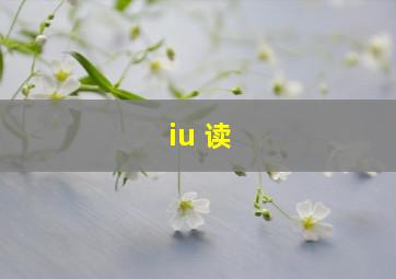 iu 读